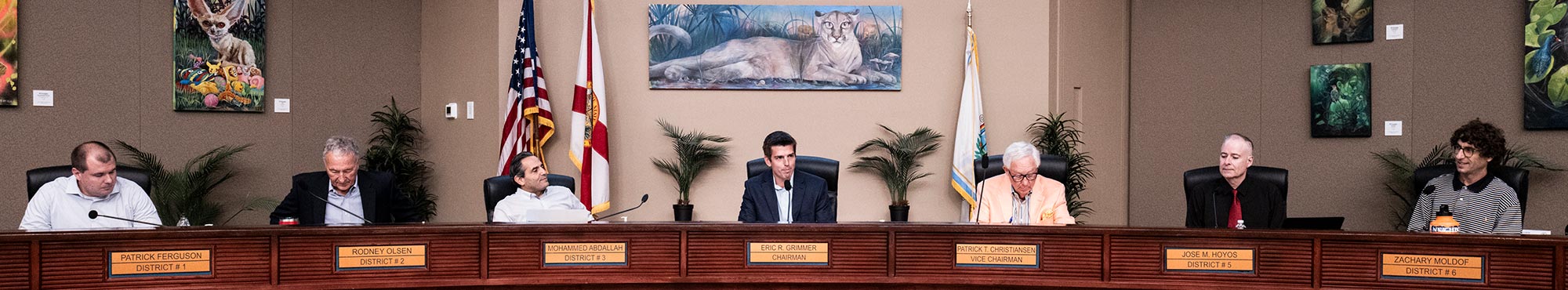 The seven members of the Commission seated during a meeting in the Orange County Government building.